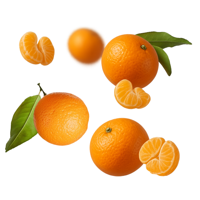 Clementinjuice-Rosengaard