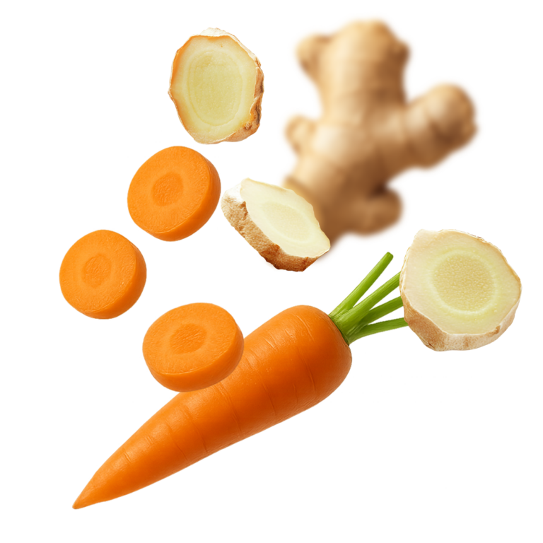 ingefær-og-gulerod-Rosengaard