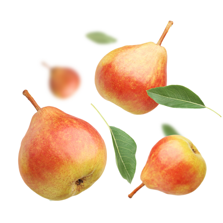 pære juice-Rosengaard